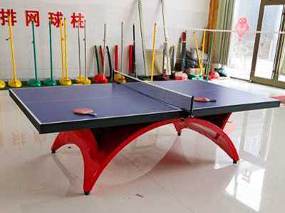 Indoor large rainbow table tennis table for competition